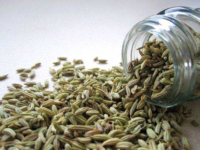 fennel fennel seeds