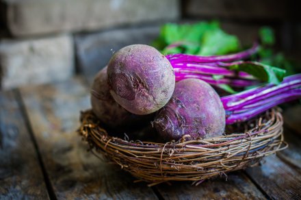 How to prepare beet starter
