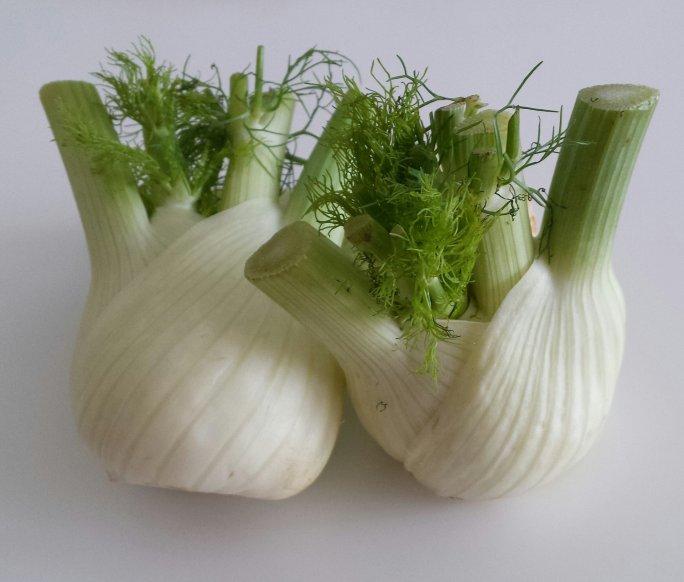 fennel for babies