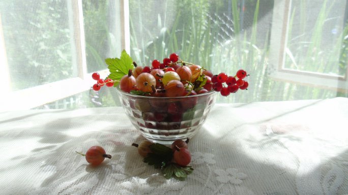 gooseberries preparations
