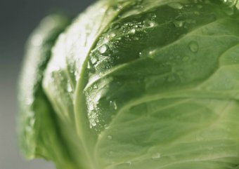 How to prepare white cabbage juice? 