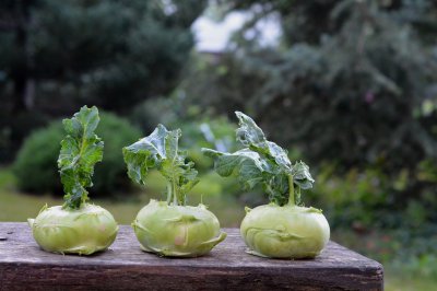 Kohlrabi anti-cancer properties