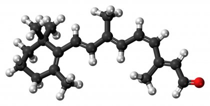 orthomolecular medicine action