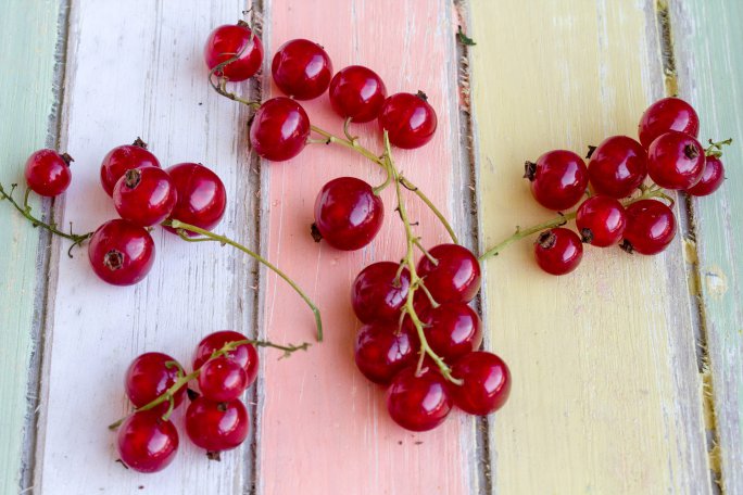 red currant