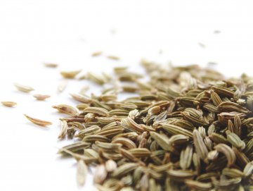 roman cumin - cumin