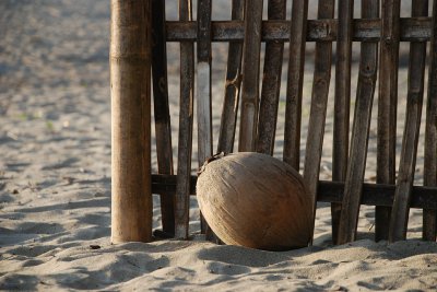 the action of coconut water