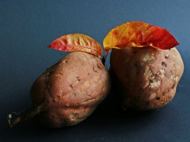 yams recipes